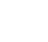 لوگوی استاندارد